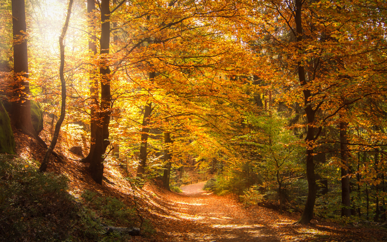 Stimmungsvolle Wanderungen